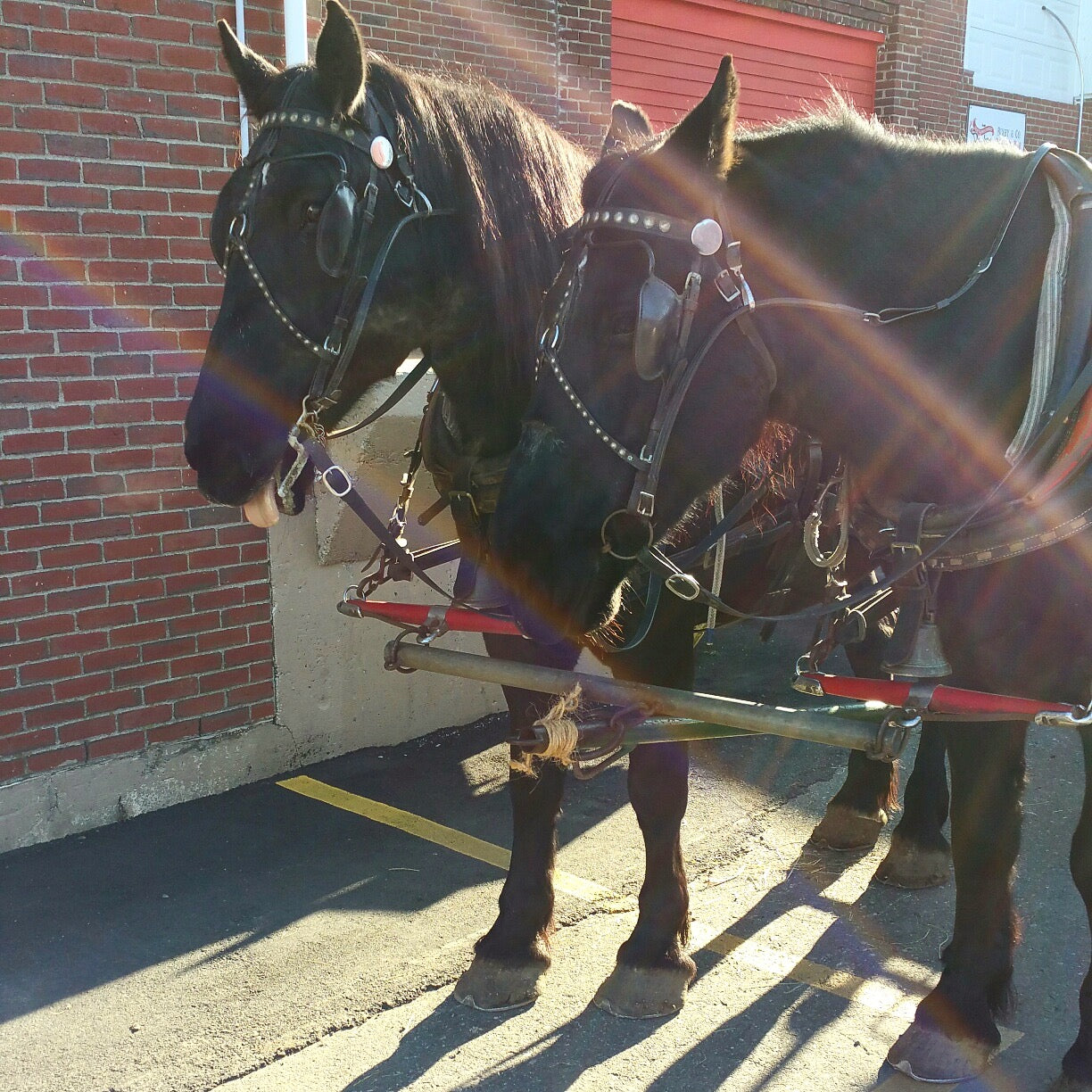 Bixby Buggy Saturdays