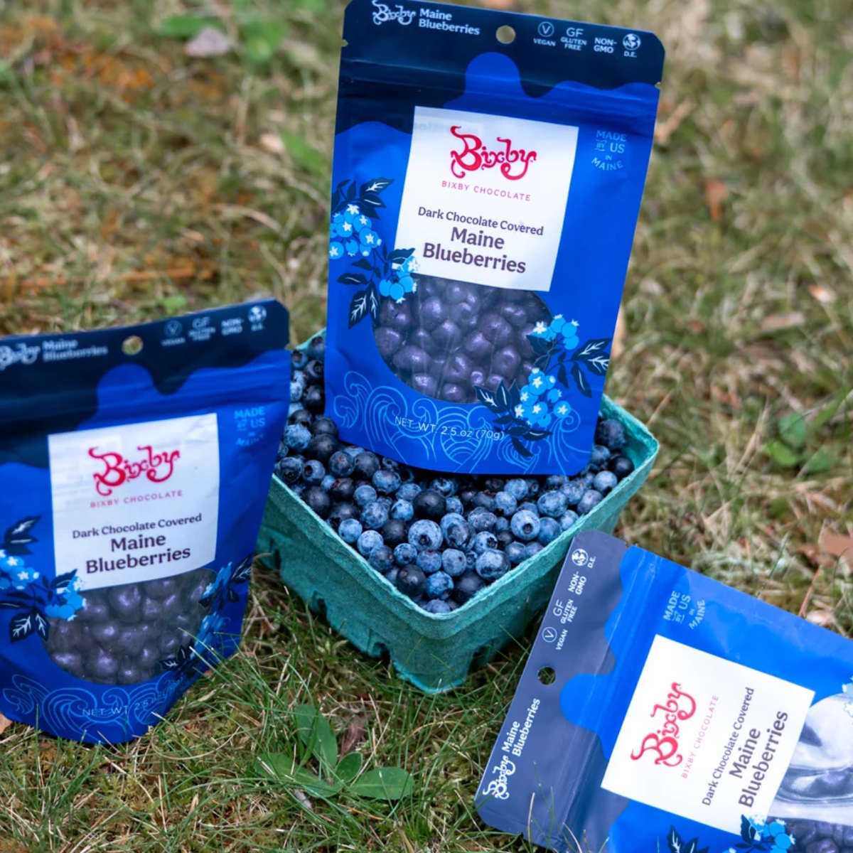 Dark Chocolate Covered Blueberries