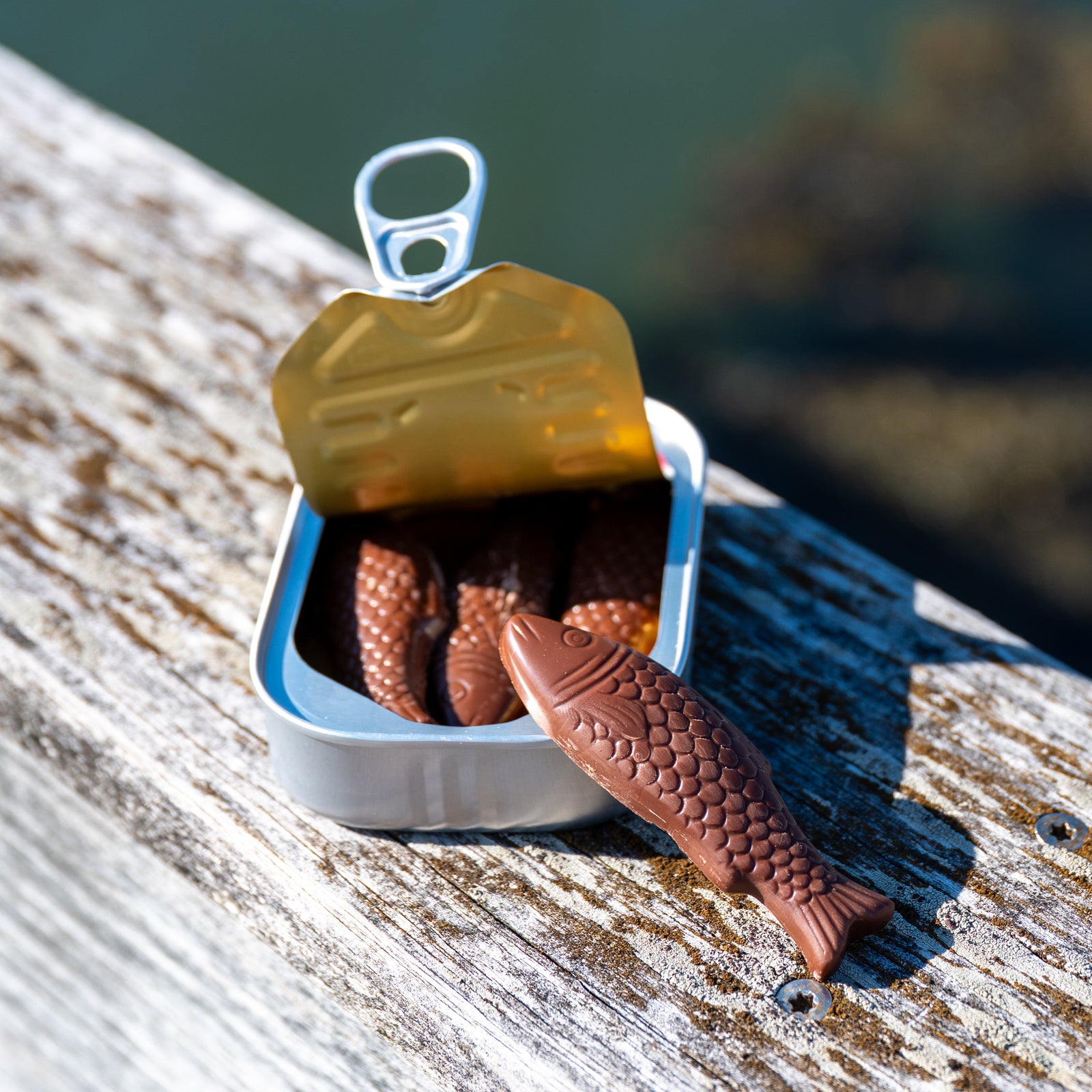 A tin of Bixby Chocolates’ Chocolate Sardines sits open on weathered wood, with several chocolate fish inside and one outside, evoking a unique Maine souvenir vibe against a softly blurred background.