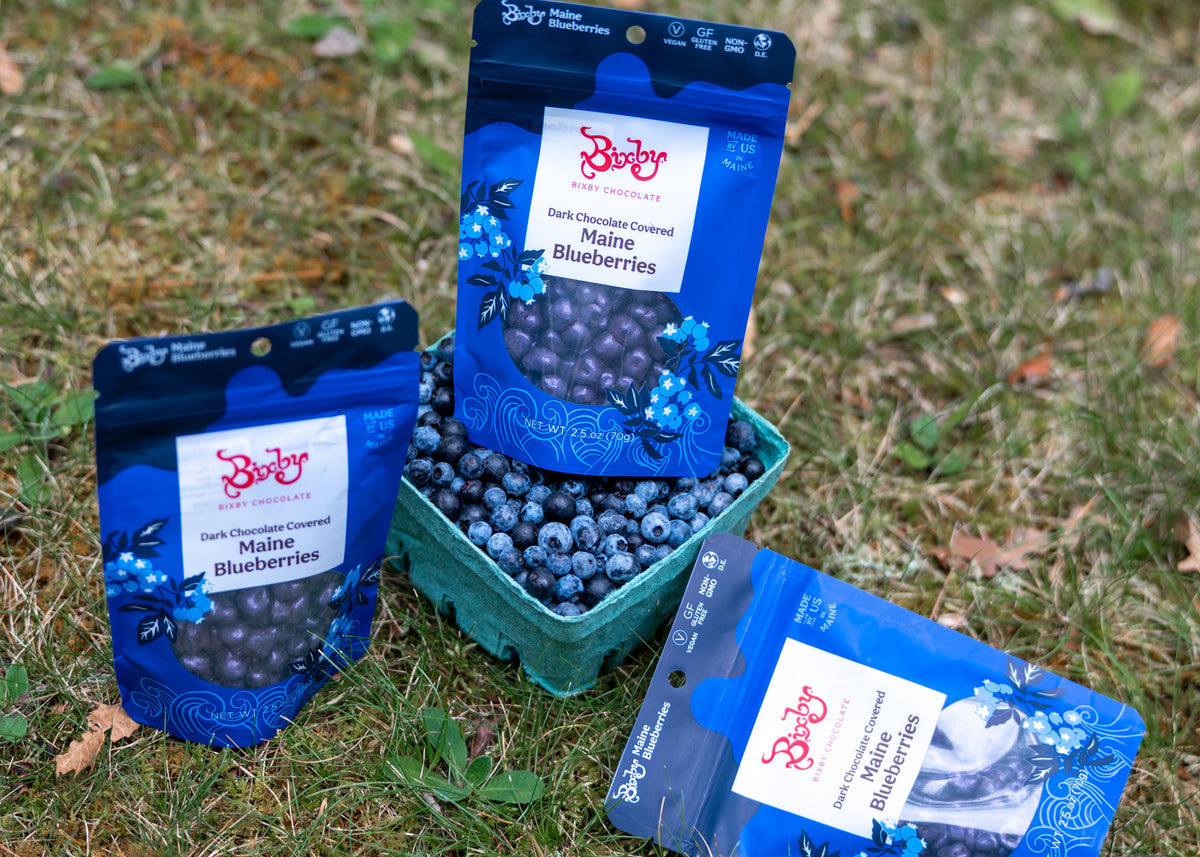 Dark Chocolate Covered Blueberries