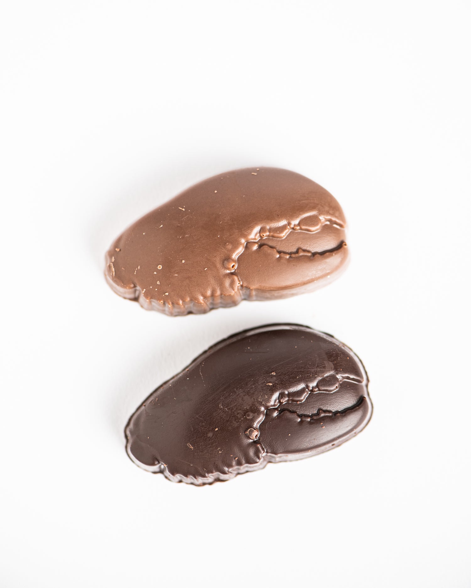 Nutty for You® - Dark Chocolate + Crunchy Peanut Butter + Maine Sea Sa -  Bixby Chocolates