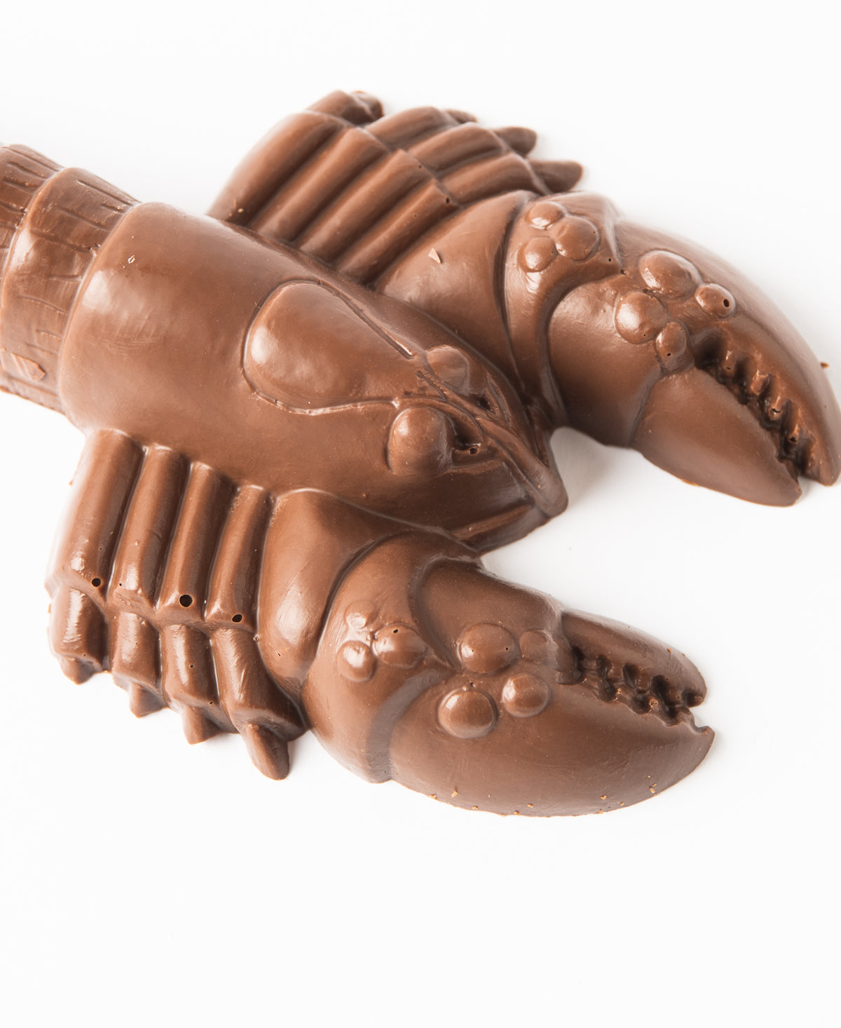 1 Lb Chocolate Lobster
