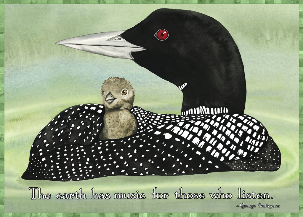 Loon and Baby Card